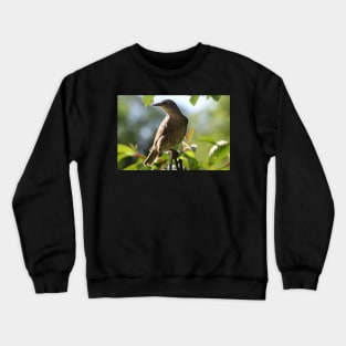 Juvenile Starling Crewneck Sweatshirt